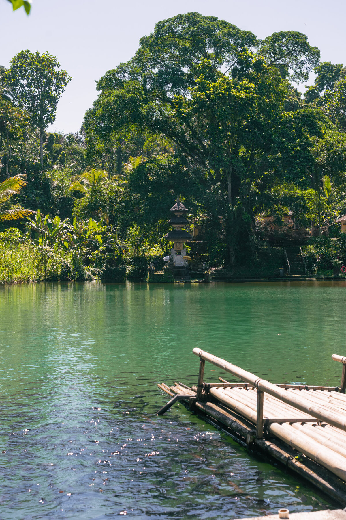 Sacred spring water flowing at Taman Mumbul in the highland forest