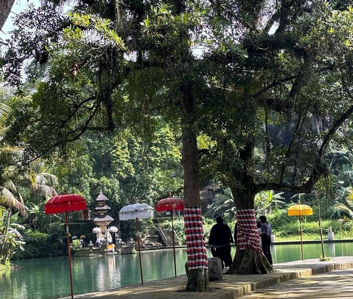Taman Mumbul holy spring lake with banyan tree and umbrellas