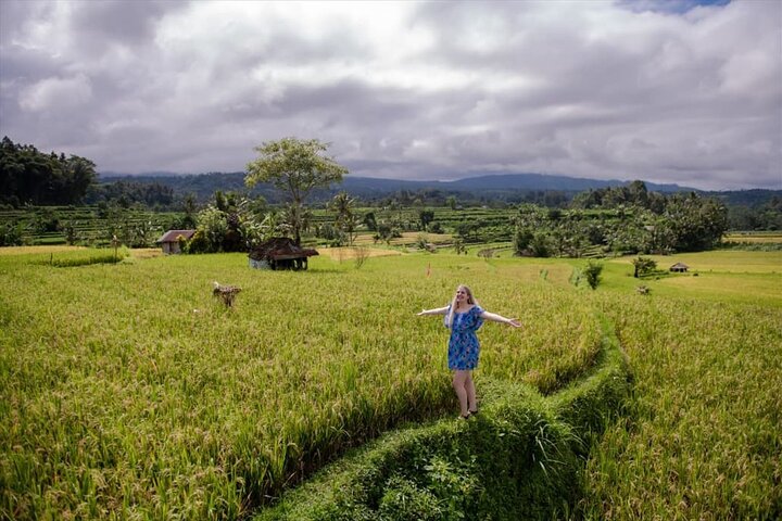 Lush rolling Jatiluwih rice paddies stretching to horizon