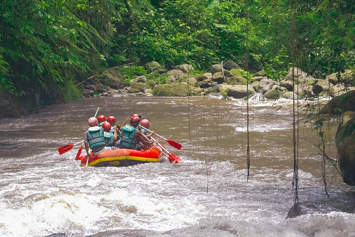 Rafting crew paddling through canyon on the Ayung River