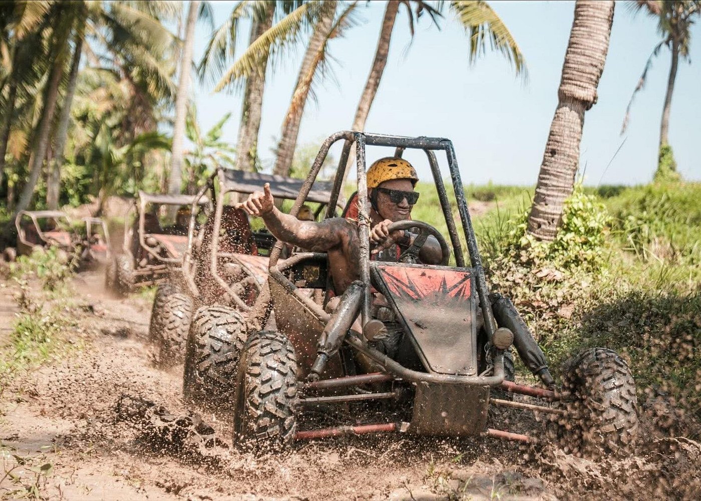 Buggy driver giving a thumbs up while crossing palm-lined trail